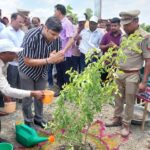 वृक्षारोपण जन अभियान के तहत लगाए गए बारह हजार पौधे