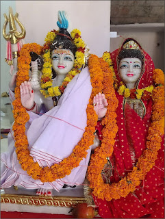 भक्तों ने निकाली भव्य शोभायात्रा, जयकारों के साथ हुआ पूजन