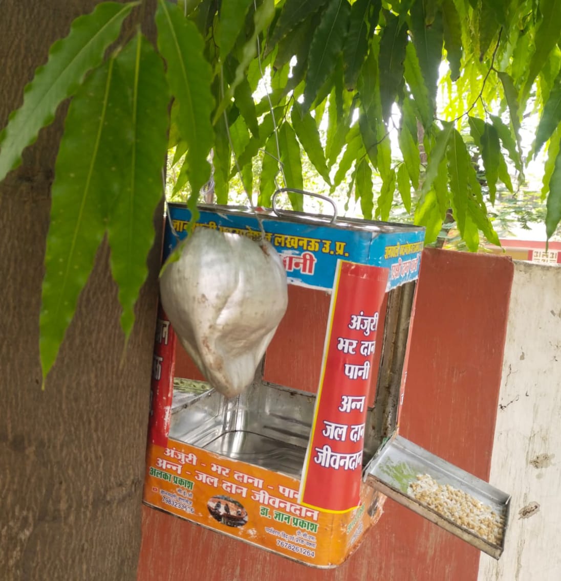 मेंटरिंग भारत का गौरैया बचाओ जागरूकता अभियान