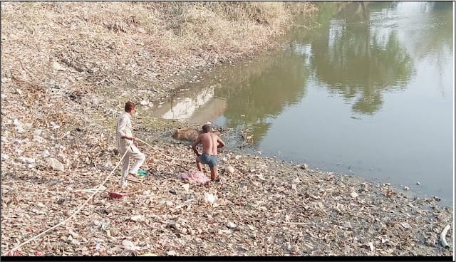 तालाब में फंसी गाय का ग्रामीणों ग्रामीणों ने किया रेस्क्यू ऑपरेशन