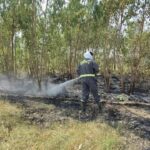 खेत ने लगी आग, फसल जल कर राख