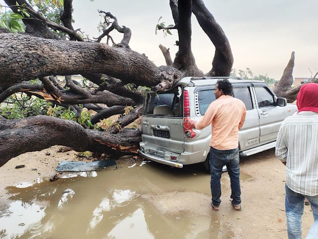 तेज तूफान के चलते महिला पर गिरा पेड़, हुई मौके पर मौत सुइथाकला,