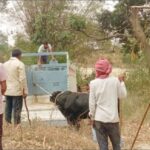 पूर्व प्रधान ने ग्रामीणों के साथ बाहुबली को किया रेस्क्यू