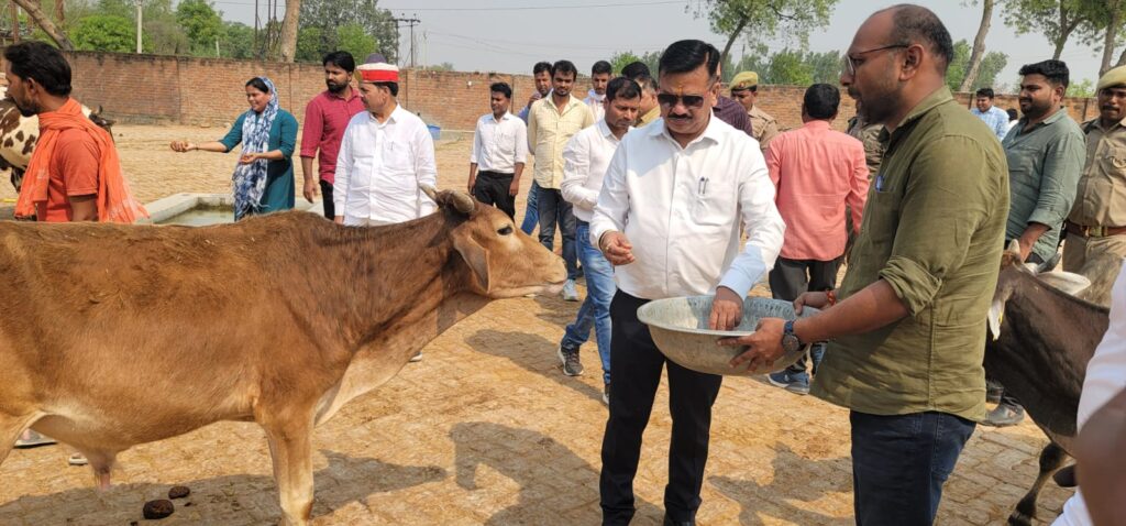 बेसहारा बेजुबानों की सेवा से बढ़कर कोई धर्म नहीं: जिलाधिकारी दिनेश चंद्र