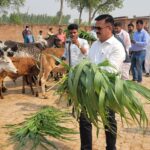 बेसहारा बेजुबानों की सेवा से बढ़कर कोई धर्म नहीं: जिलाधिकारी दिनेश चंद्र