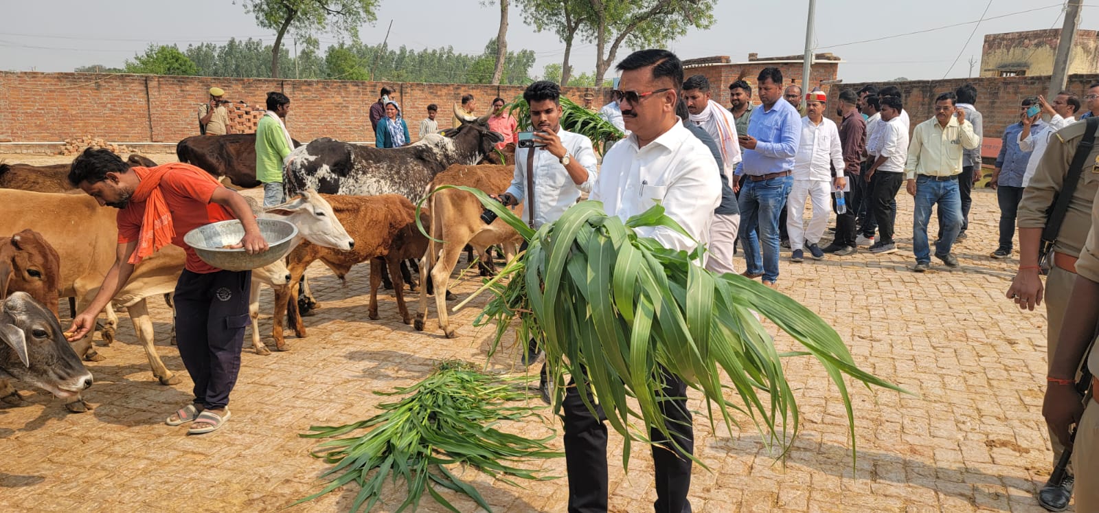 बेसहारा बेजुबानों की सेवा से बढ़कर कोई धर्म नहीं: जिलाधिकारी दिनेश चंद्र