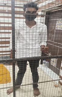 शातिर अभियुक्त गिरफ्तार को अवैध पिस्टल के साथ किया गिरफ्तार