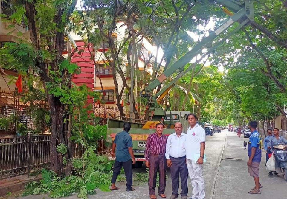 नगरसेवक मदन सिंह ने खड़े होकर कराई पेड़ों की छटनी