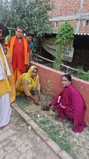 पृथ्वी पर जीवन को बचाना है, तो वृक्षों को बचाना ही होगा: पायल किन्नर