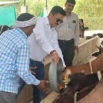 जिलाधिकारी ने अस्थायी गो आश्रय स्थल का किया निरीक्षण