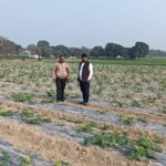 जौनपुर में एकीकृत बागवानी विकास मिशन योजना के तहत किसानों को मिलेगा लाभ