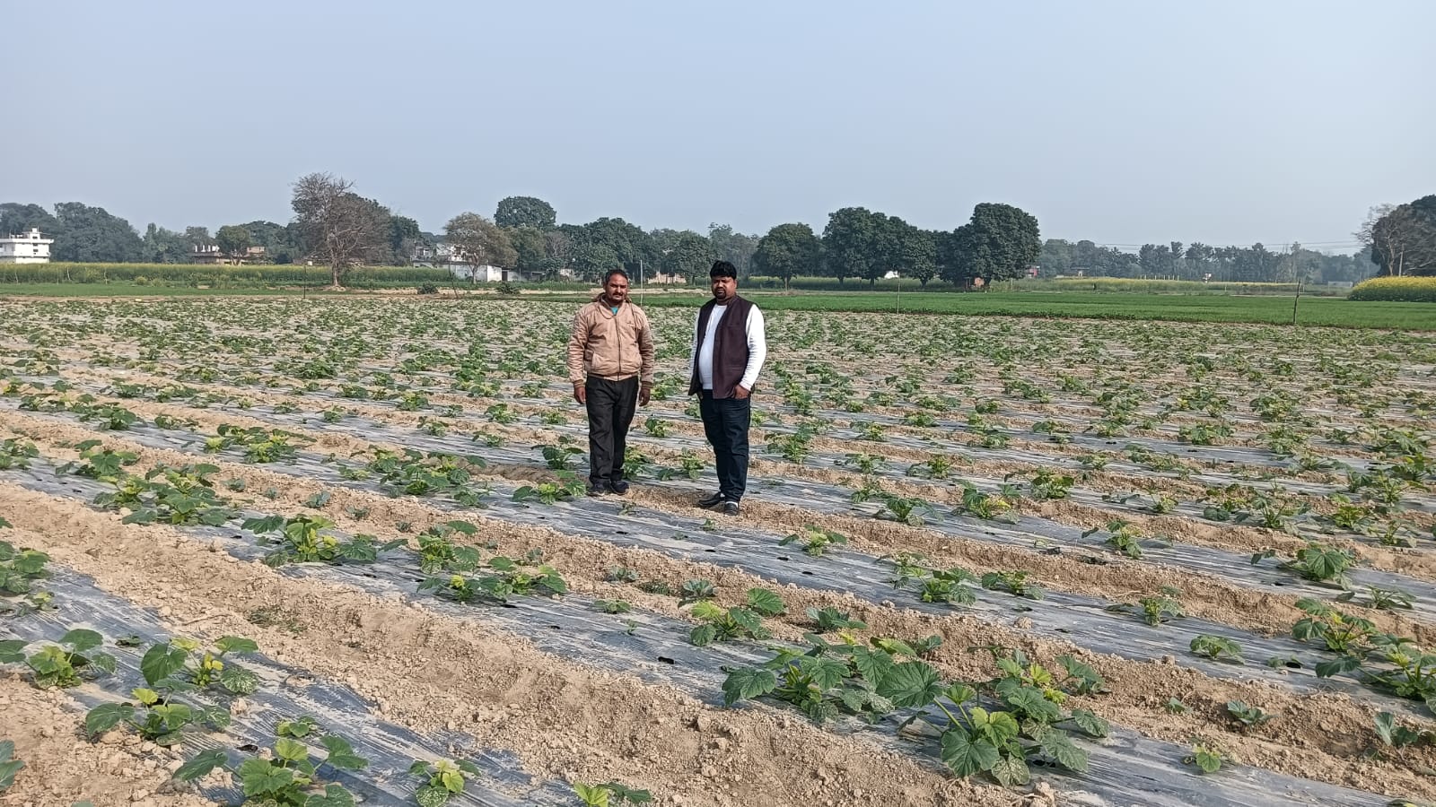 जौनपुर में एकीकृत बागवानी विकास मिशन योजना के तहत किसानों को मिलेगा लाभ