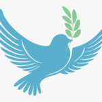 गाजा में युद्धविराम प्रस्ताव पर हमास की सकारात्मक प्रतिक्रिया