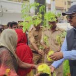 बहु उपयोगी है सहजन का पेड़ 