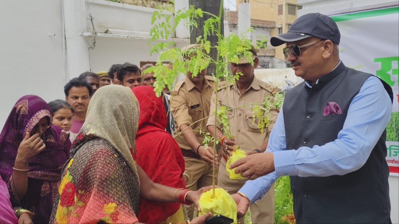 बहु उपयोगी है सहजन का पेड़ 