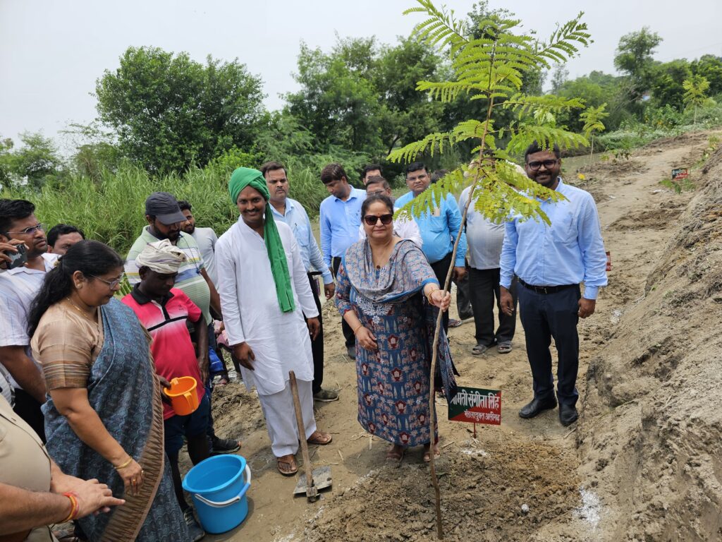 "एक पेड़ मां के नाम 2.0": एटा में एक दिन में 28 लाख से अधिक पौधों का महा अभियान, पर्यावरण संरक्षण की नई मिसाल