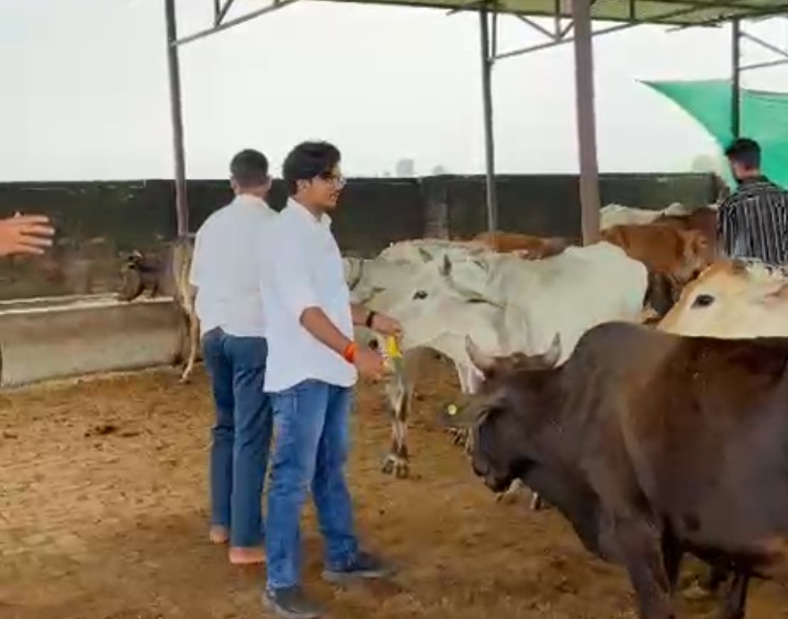 ग्राम लहंगपुर में गौशाला में संपन्न हुआ गौ सेवा कार्यक्रम