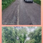 खोइरी-जमालापुर मार्ग पर पेड़ गिरा, रास्ता जाम