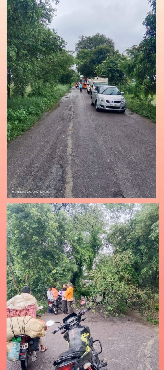 खोइरी-जमालापुर मार्ग पर पेड़ गिरा, रास्ता जाम