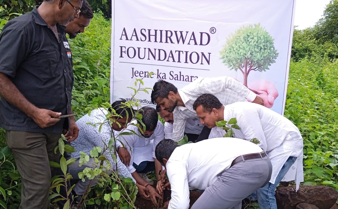 आशिर्वाद फाऊँडेशन द्वारा वृक्षारोपण एवं स्वतंत्रता दिवस समारोह