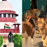 दिल्ली के कुत्तों के समर्थन में लखनऊ में मौन प्रदर्शन