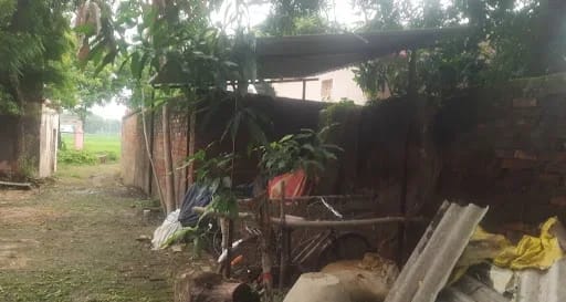 पत्रकार को मिली जान से मारने की धमकी, फोन पर कहा- जिंदा जमीन में दफन कर देंगे